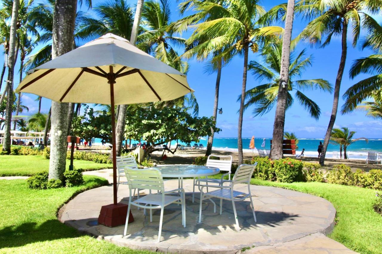 Cabarete Palm Beach Condos Eksteriør billede