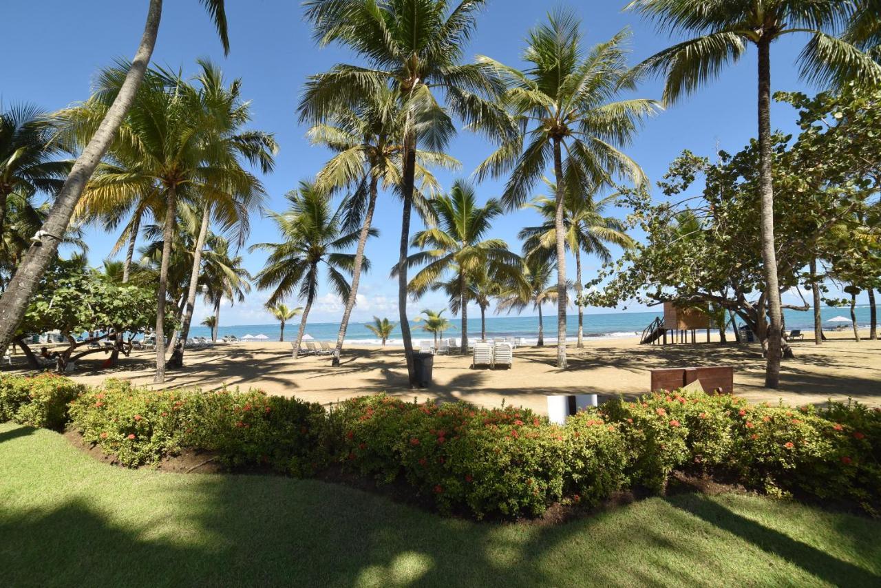Cabarete Palm Beach Condos Eksteriør billede